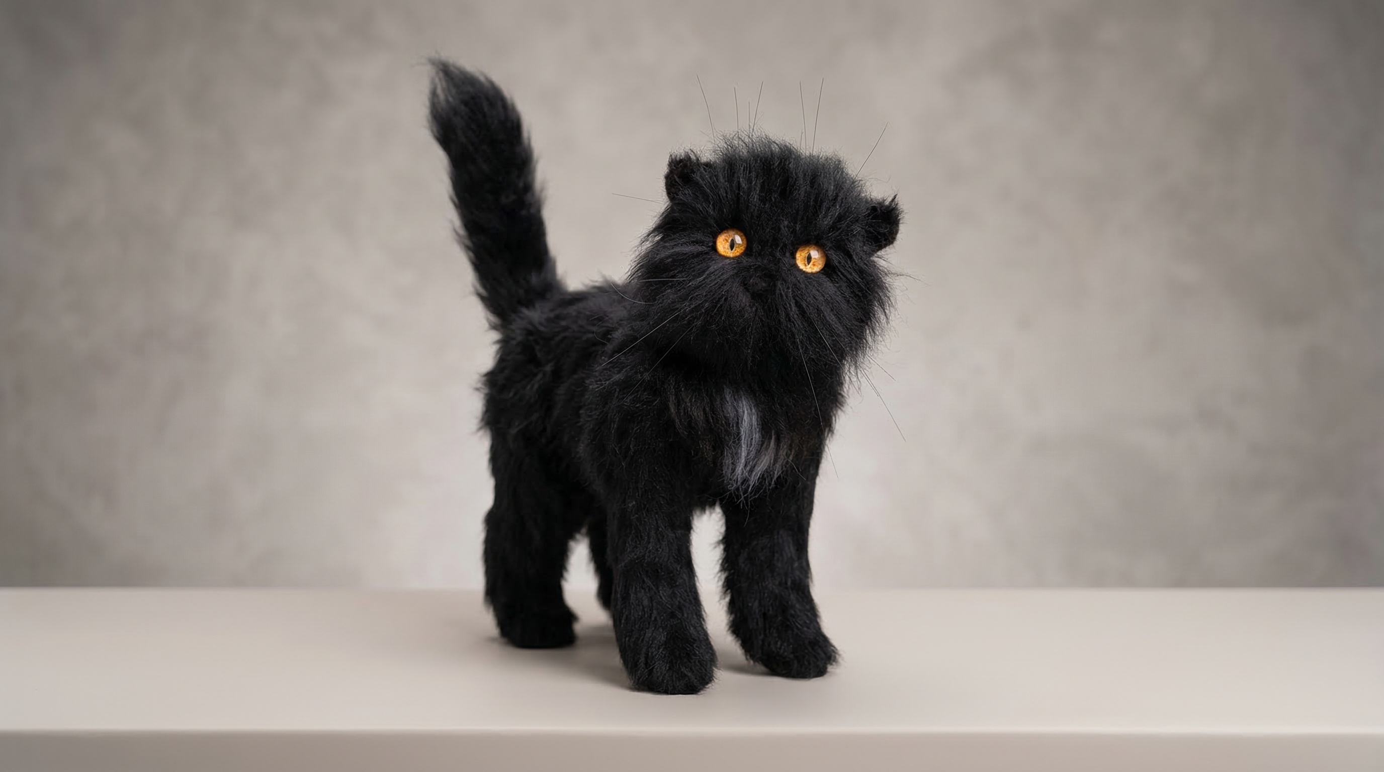 Cat W01