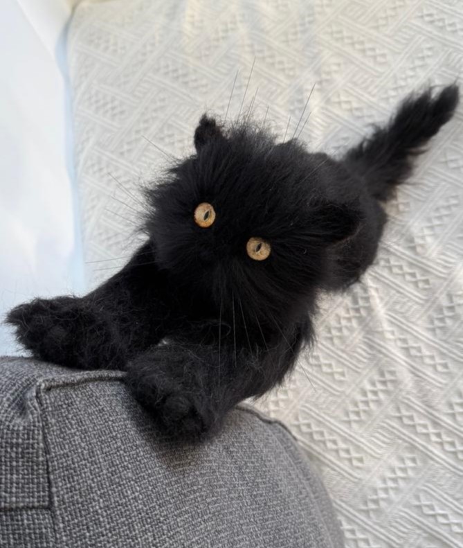 Cat W01
