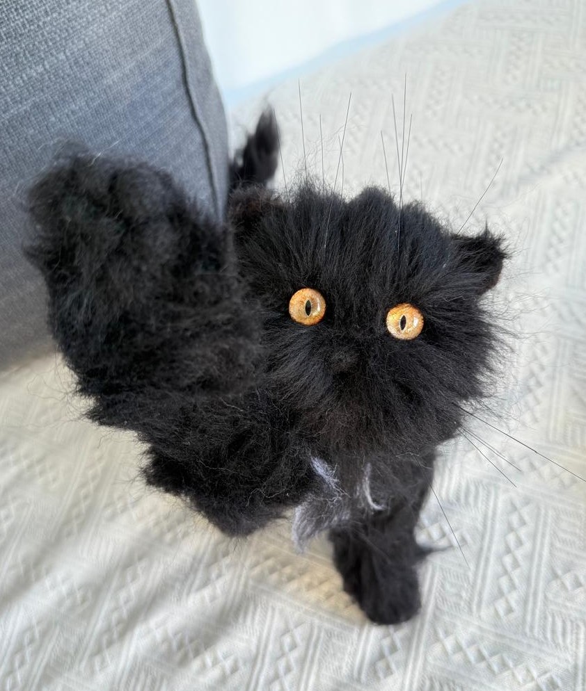 Cat W01