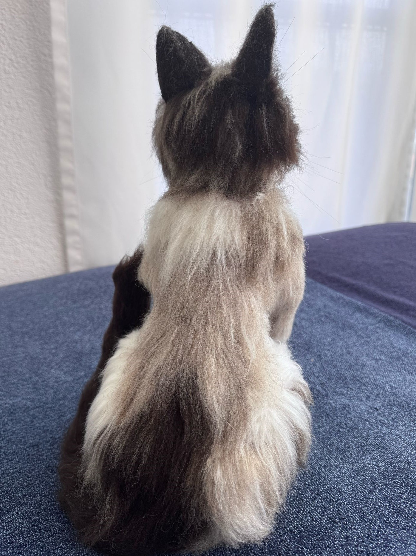 Cat W02