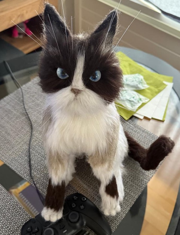 Cat W02