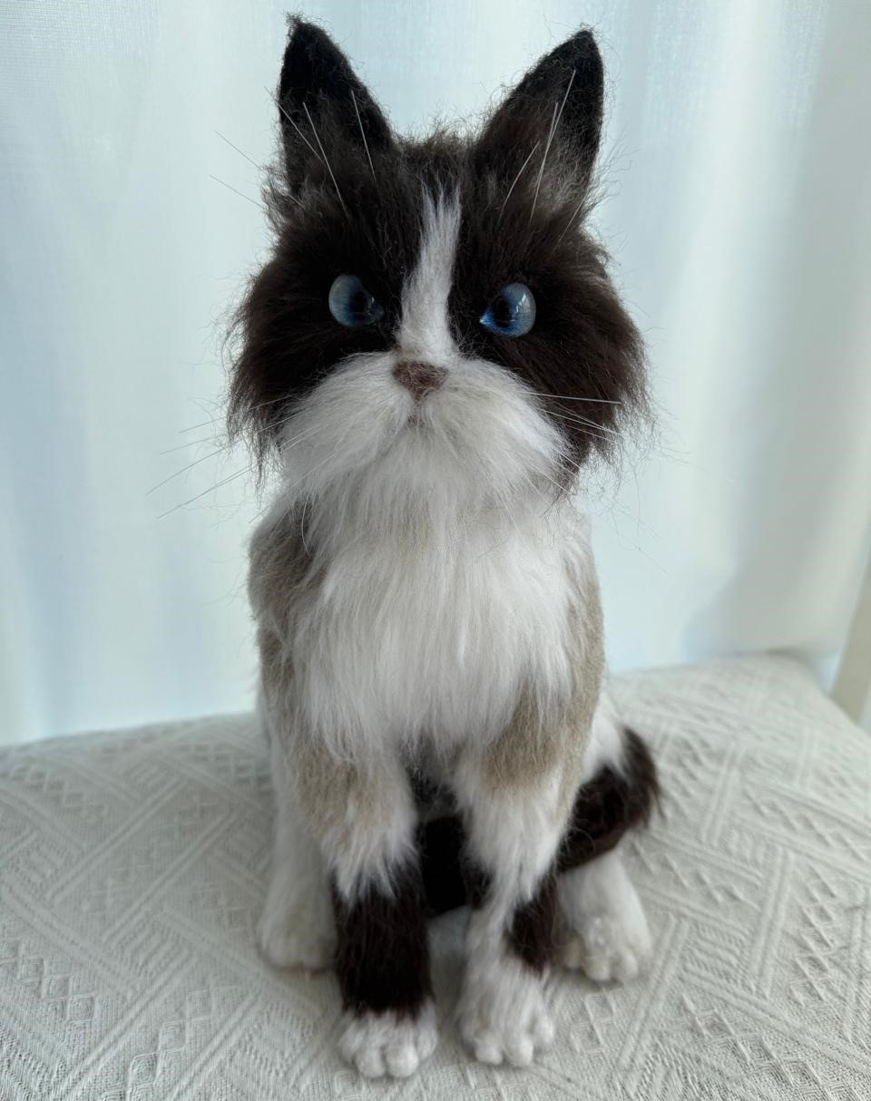 Cat W02